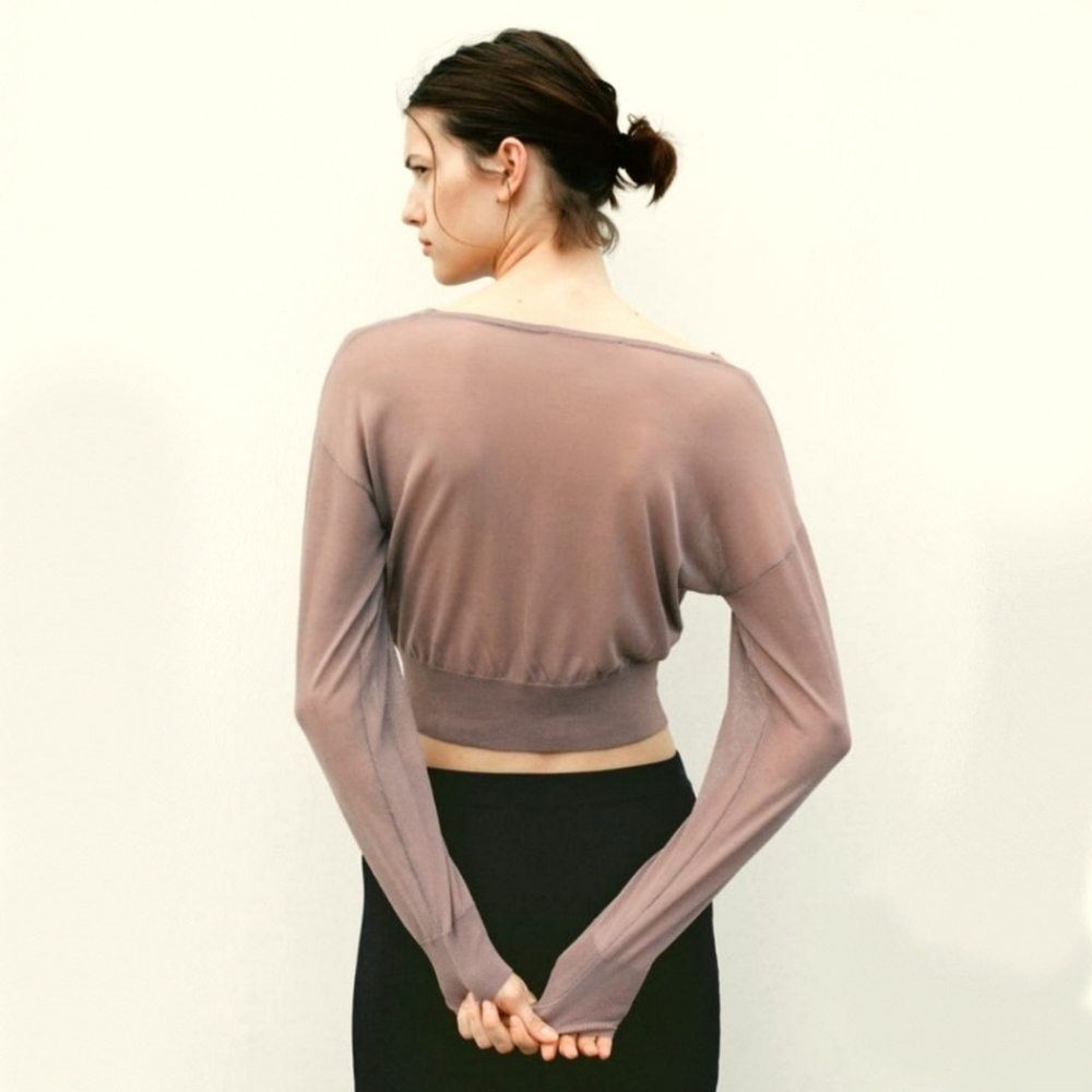 Zara Crop Knit Semi Sheer Top